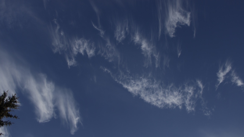 Cirrus 