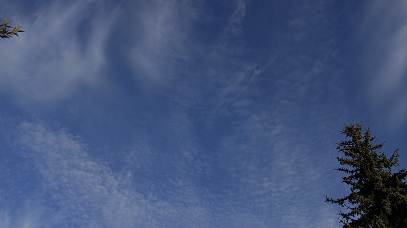Cirrus Cirrocumulus 